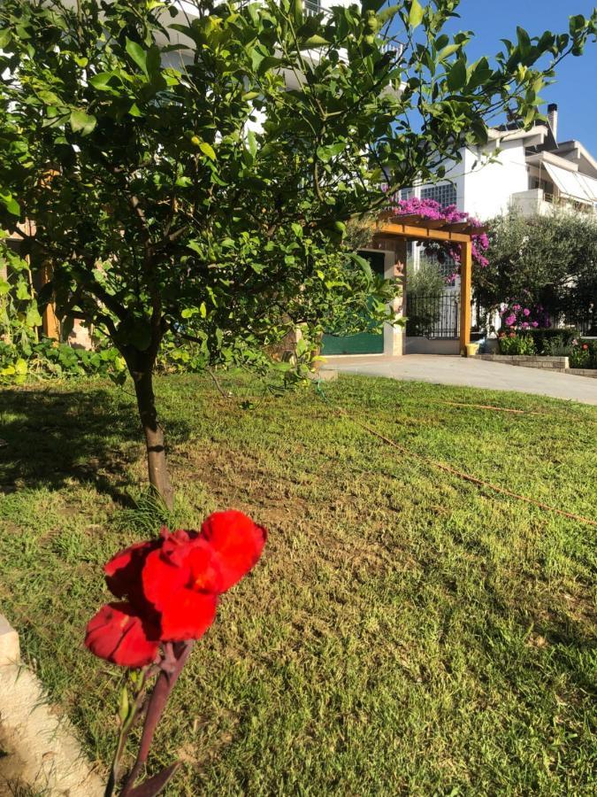 A Casa Di Alice Lägenhet Bashkia e Orikumit Exteriör bild
